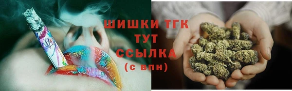 mdpv Ельня