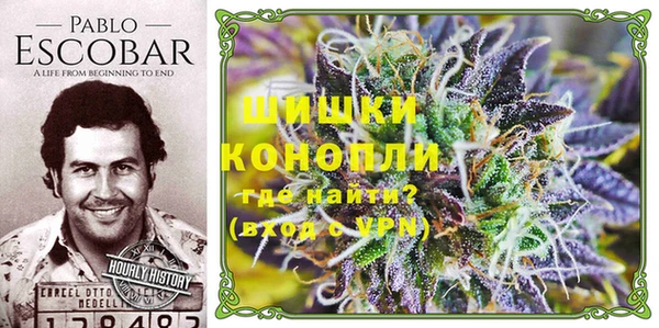 mdpv Ельня