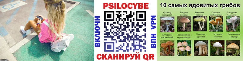 Купить  Ступино  Галлюциногенные грибы Psilocybe 